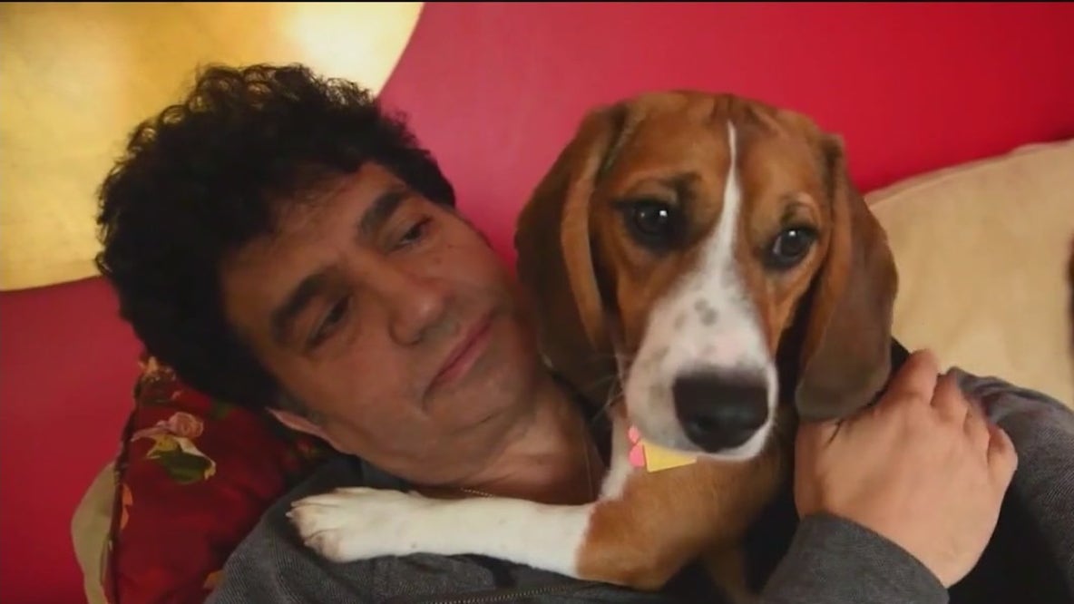 Love at first sight with a pet: study